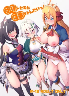  (C96) [Ikihaji Hummingbird (Amano Don)] Princess To Connect Shitai! (Princess Connect! Re:Dive)