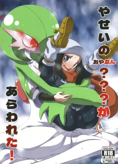  (C101) [Hanyayashiki (Hanya/)]Yasei No Oyabun Sirnight Ga Arawareta (Pokémon)